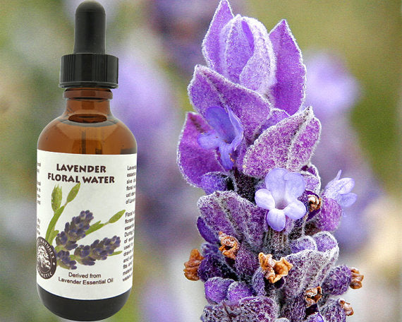 Lavender Floral Water (Hydroflorate or Hydrosol) | Yellow Poppy