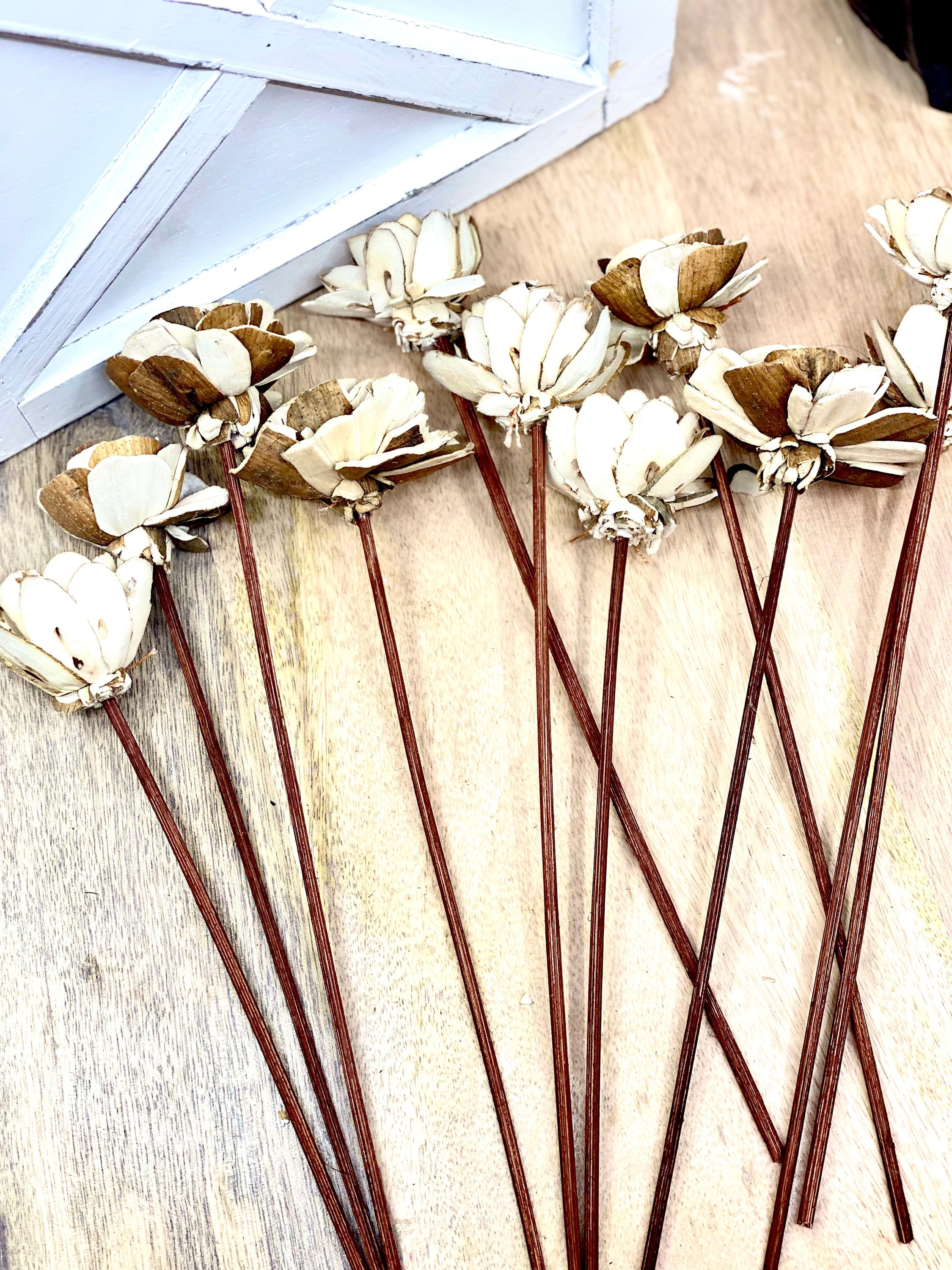 Assorted Mini Sola Wood Flower, 9” Rattan Wood Reed Diffuser