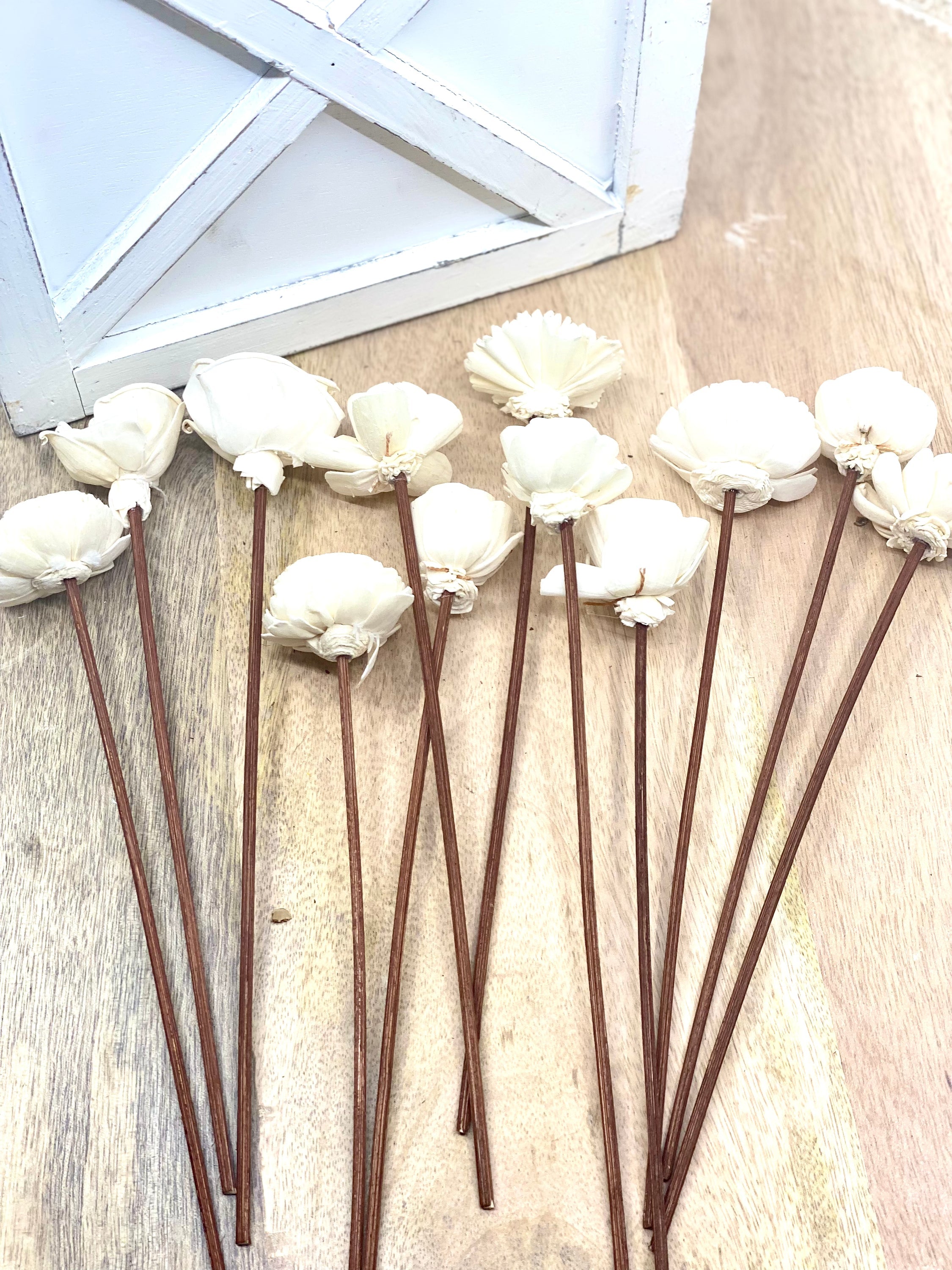 Assorted Mini Sola Wood Flower, 9” Rattan Wood Reed Diffuser