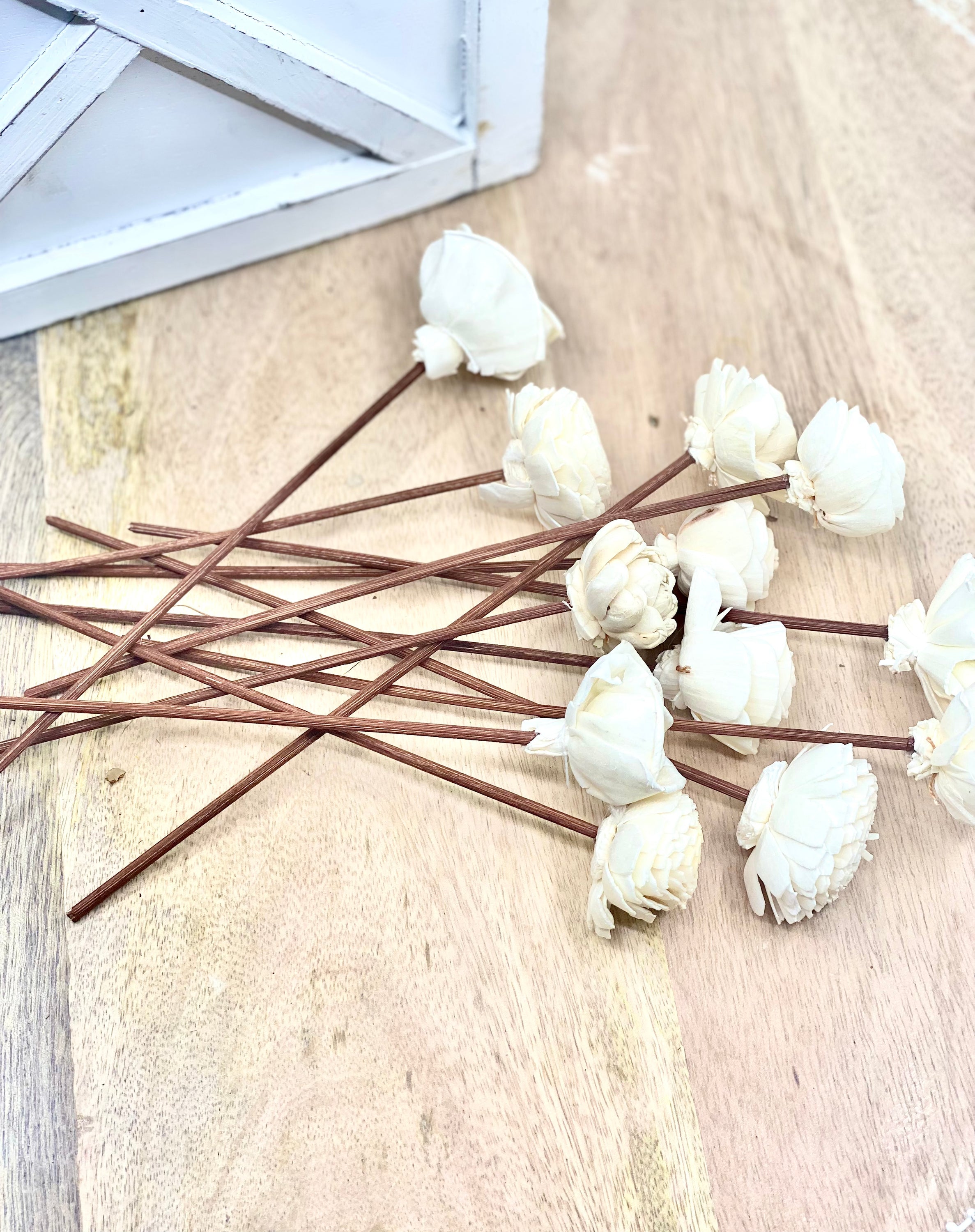 Assorted Mini Sola Wood Flower, 9” Rattan Wood Reed Diffuser