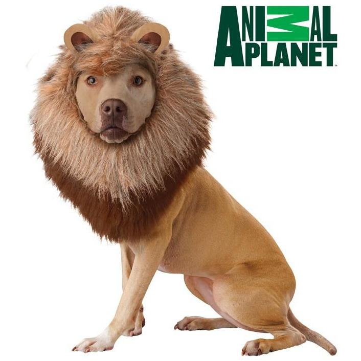 Lion Pet Costume - Zomdo Marketplace | Zomdo.com