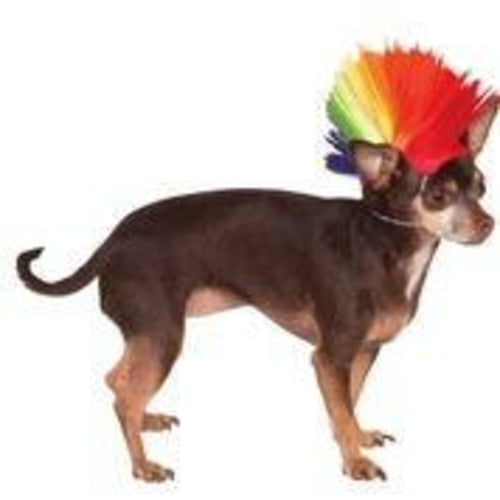 Mohawk Pet Wig Rainbow