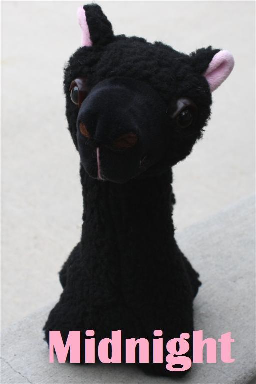 "PacaBuddies" Stuffed Alpaca Toys