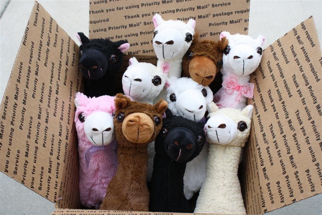 "PacaBuddies" Stuffed Alpaca Toys