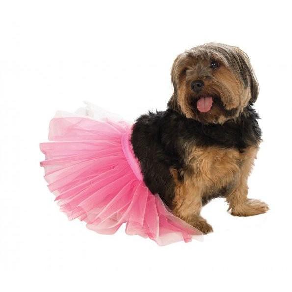 Pink Dog Pet Tutu | Turquoise Daedalus