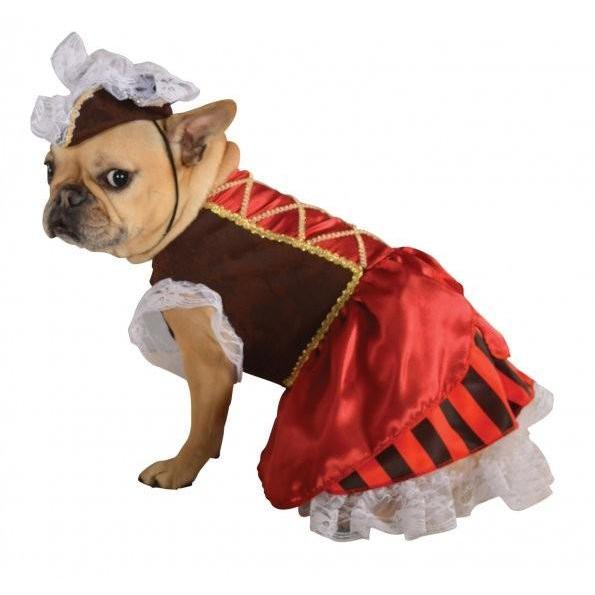 Pirate Girl Pet Costume | Turquoise Daedalus