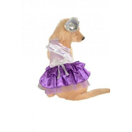 Prettiest Pooch Pet Costume