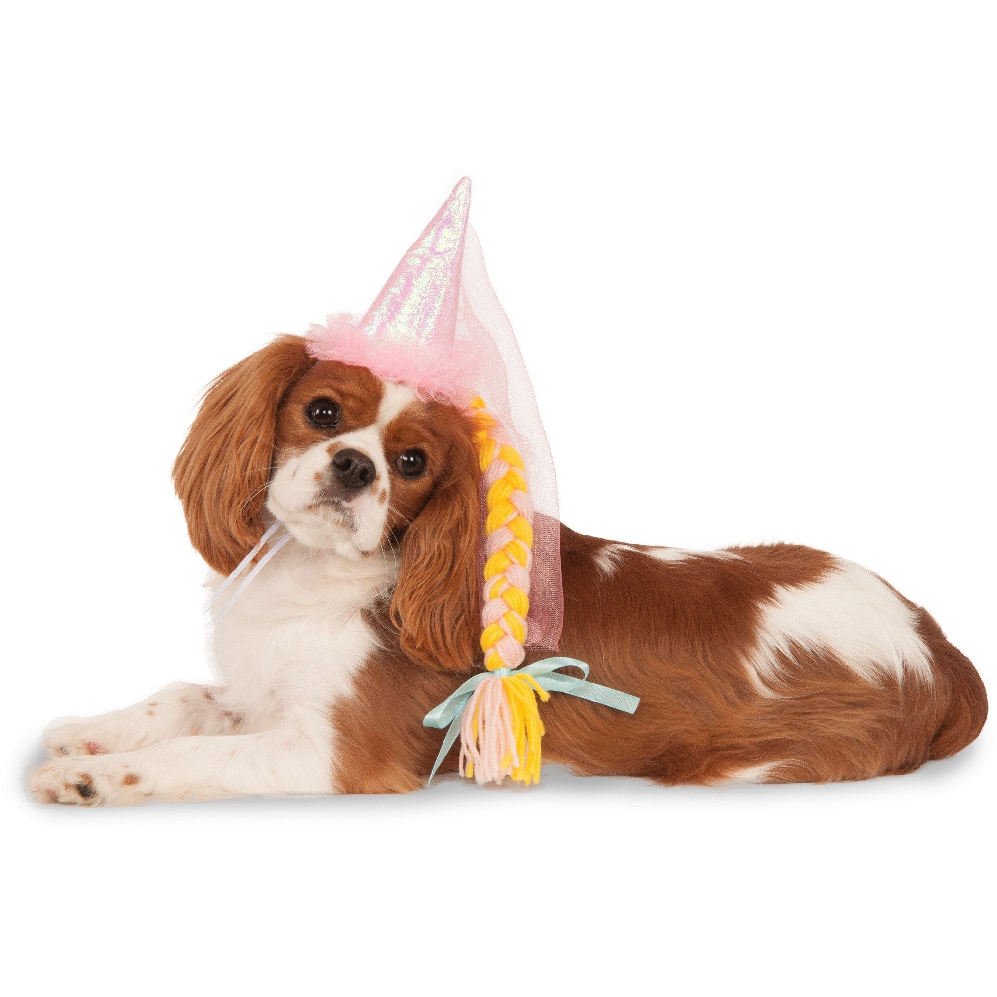 Princess Pet Hat with Braid