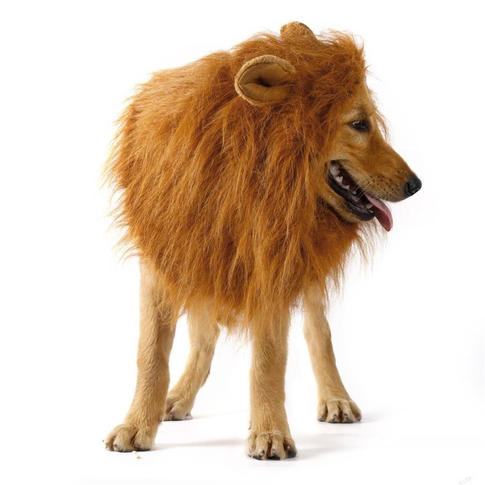 Lion Theme Dog Wig | Yellow Pandora