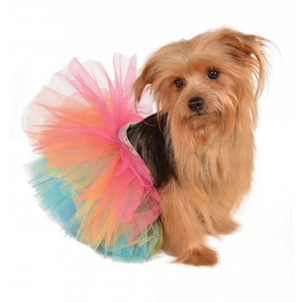 Rainbow Tutu Dog Costume | Turquoise Daedalus