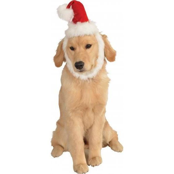 Red Santa Hat With Beard Pet Christmas Costume | Turquoise Daedalus