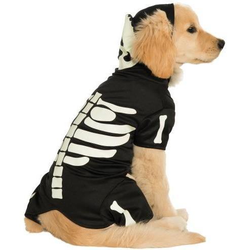 Skeleton Pet Costume | Turquoise Daedalus