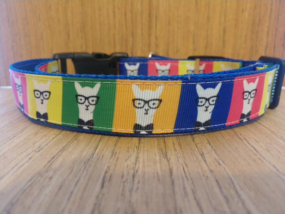 Collar/ Large/ Medium/ Hipster Llamas