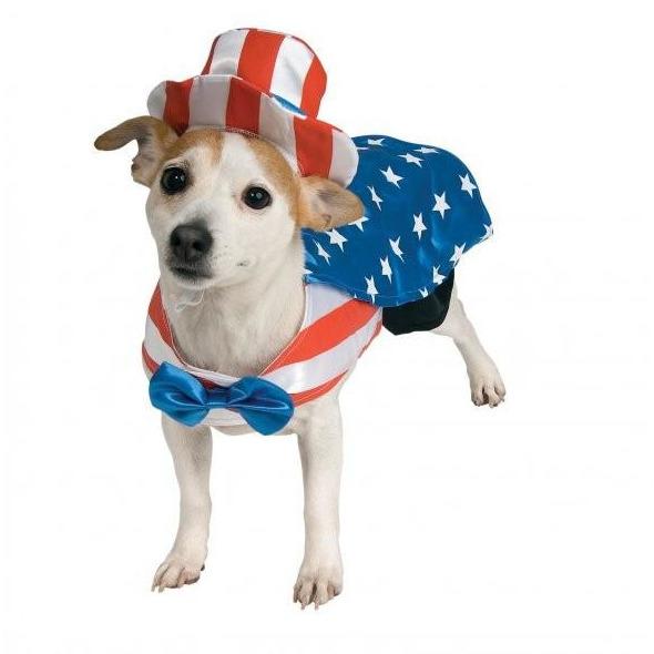 Uncle Sam Pet Costume | Turquoise Daedalus