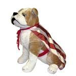 USA Flag Stars and Stripes Pet Cape | Turquoise Daedalus