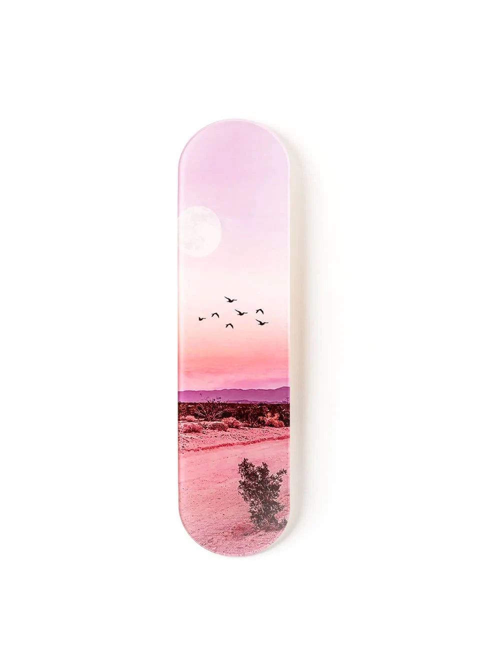 Dreamy Desert Skateboard