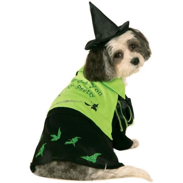 Wicked Witch of The West Wizard of Oz Pet Costume | Turquoise Daedalus